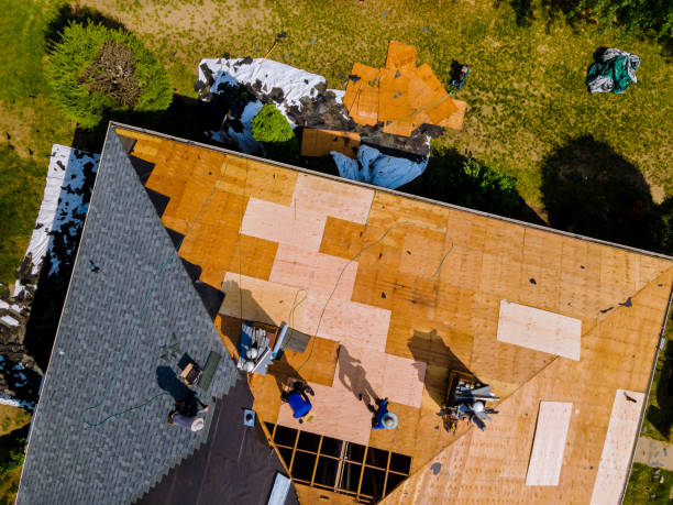 Best Gutter Installation and Roofing  in Eden, TX